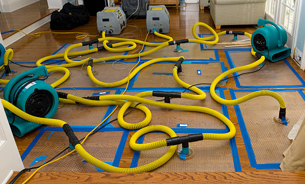 Professional Burst Pipe Water Damage technician working in Crittenden, KY